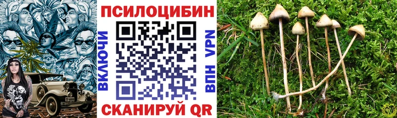 Галлюциногенные грибы мицелий  где можно купить   Среднеколымск 
